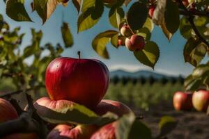 un manzana árbol con muchos rojo manzanas en él. generado por ai foto