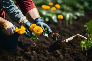 dos personas son plantando flores en un jardín. generado por ai foto