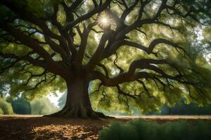 the sun shines through the branches of an old oak tree. AI-Generated photo