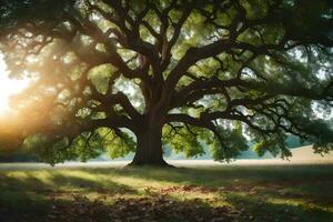 the sun shines through the leaves of an oak tree. AI-Generated photo