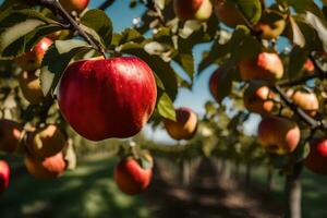 manzanas en el árbol en un huerta. generado por ai foto