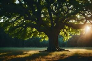 the sun shines through the leaves of a large tree. AI-Generated photo