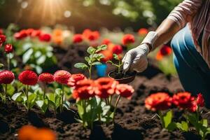 un persona en guantes es plantando flores en el jardín. generado por ai foto