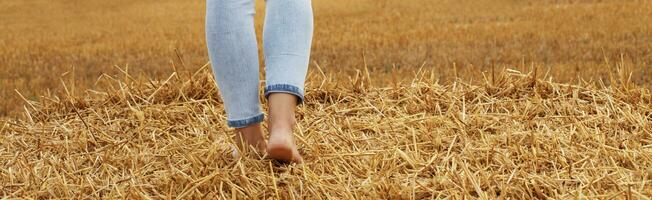 barefoot girl with sneakers and cardboard cup with coffee in hand stand in the agricultural field photo