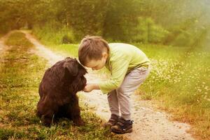 chico con un perro caminando en el parque. niño jugando con un negro perro. foto