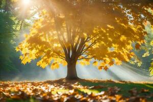 autumn tree with sun rays shining through leaves. AI-Generated photo