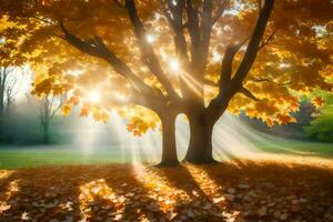 rayos de sol brillante mediante un árbol en el otoño. generado por ai foto