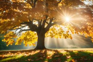 el Dom brilla mediante el hojas de un otoño árbol. generado por ai foto