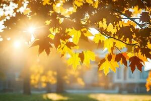 autumn leaves in the sun. AI-Generated photo