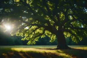 el Dom brilla mediante el hojas de un roble árbol. generado por ai foto