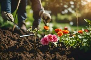 gardening tips for beginners. AI-Generated photo