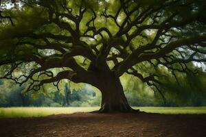 a large tree in the middle of a field. AI-Generated photo
