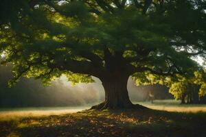 un grande árbol en el medio de un campo. generado por ai foto