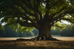 an old oak tree in a field. AI-Generated photo