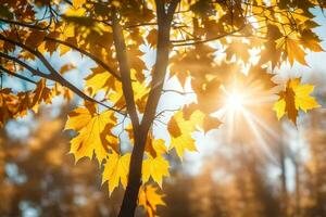 autumn leaves in the sun. AI-Generated photo