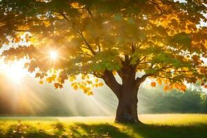 the sun shines through the leaves of a tree in the autumn. AI-Generated photo