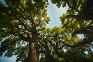 el Dom brilla mediante el pabellón de un grande árbol. generado por ai foto