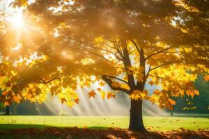 otoño árbol con Dom rayos brillante mediante hojas. generado por ai foto