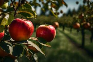 manzanas en un árbol en un huerta. generado por ai foto