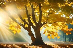 sunlight shining through a tree in the autumn. AI-Generated photo