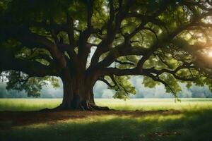 the sun shines through the leaves of an old oak tree. AI-Generated photo