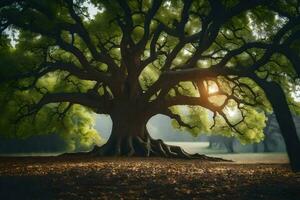 el Dom brilla mediante el hojas de un antiguo roble árbol. generado por ai foto