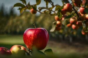 an apple tree with red apples on it. AI-Generated photo