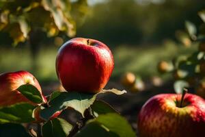 manzanas en el huerta. generado por ai foto