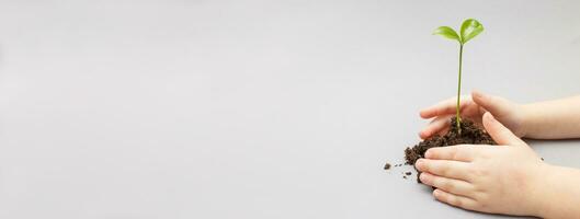 Green sprout growing from soil and a kids hands protecting it isolated on a gray paper background. photo