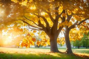 autumn trees in the park. AI-Generated photo
