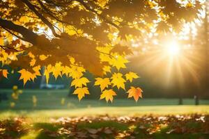 autumn leaves on the ground in a park. AI-Generated photo