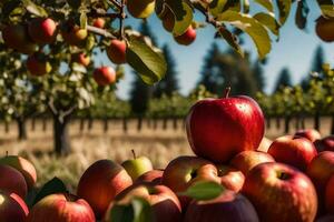 manzanas son apilado arriba en un campo. generado por ai foto