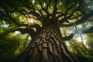 el Dom brilla mediante el ramas de un grande árbol. generado por ai foto