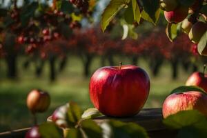 manzanas en un árbol en un huerta. generado por ai foto