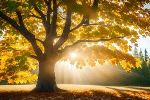the sun shines through the leaves of a tree in the autumn. AI-Generated photo
