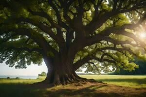 el Dom brilla mediante el árbol en el medio de un campo. generado por ai foto