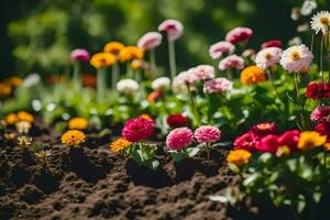 many different colored flowers are growing in the dirt. AI-Generated photo