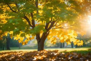 otoño árbol en el parque con amarillo hojas. generado por ai foto