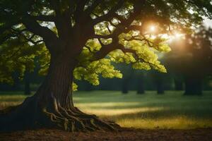 a tree in the middle of a field with the sun shining through. AI-Generated photo