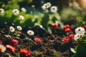 un campo de flores con Dom brillante a través de. generado por ai foto