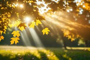 sunbeams shine through the leaves of a tree in the autumn. AI-Generated photo