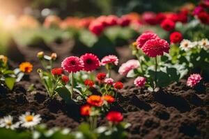 a field of flowers with sun shining through. AI-Generated photo