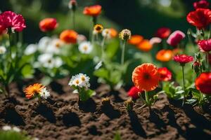 many different colored flowers are growing in the dirt. AI-Generated photo