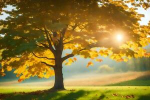 the sun shines through a tree in the autumn. AI-Generated photo