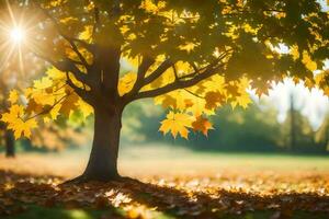 autumn tree with yellow leaves in the sun. AI-Generated photo