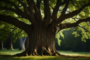 un grande árbol en el medio de un campo. generado por ai foto