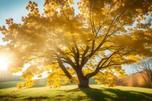 a tree with yellow leaves in the sun. AI-Generated photo