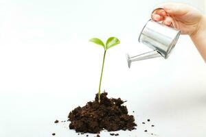 Small seedling in a pile of soil. Child's hand waters a sprout from a toy watering can photo
