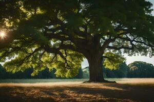 el Dom brilla mediante el hojas de un grande árbol. generado por ai foto