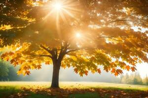 autumn tree with sun shining through leaves. AI-Generated photo